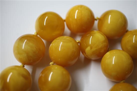 A single strand circular amber bead necklace with 18ct gold ball clasp, 50cm.
